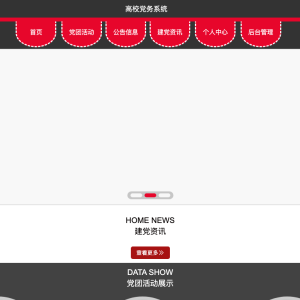 高校党务系统