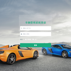 车辆管理系统设计与实现