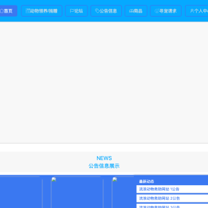 流浪动物救助网站