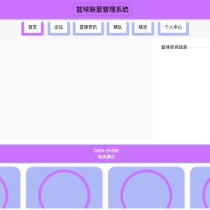 基于vue篮球联盟管理系统