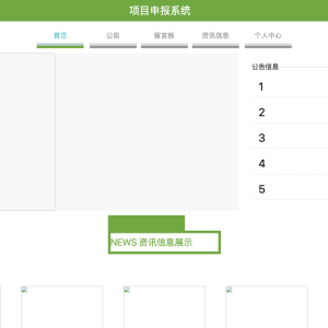 基于Javaweb的项目申报系统的设计与实现