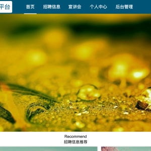 大学生就业服务平台