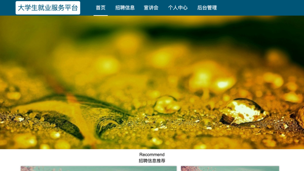 大学生就业服务平台
