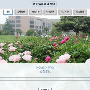 就业信息管理系统