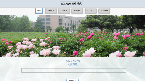 就业信息管理系统